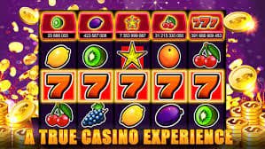 33bww